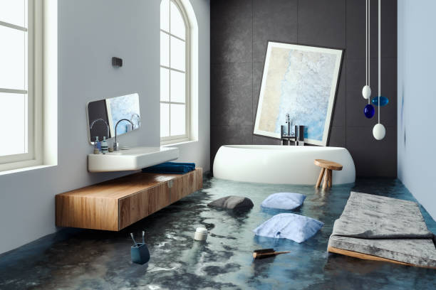 Best Ceiling water damage repair  in Sparta, MO