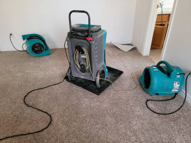 Best Water damage restoration company  in Sparta, MO