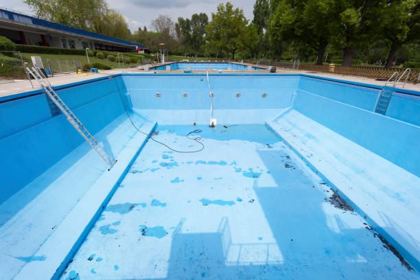 Best Basement water damage restoration  in Sparta, MO