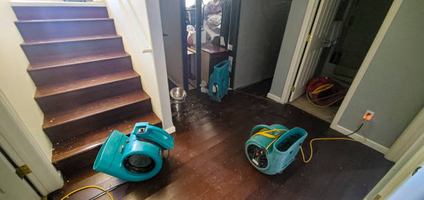 Best Water damage mitigation services  in Sparta, MO