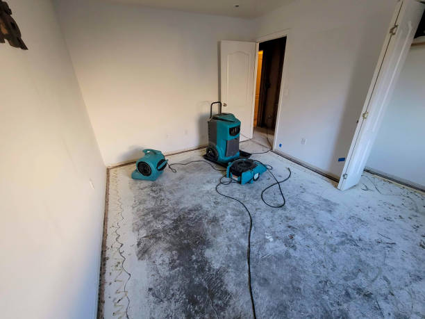 Reliable Sparta, MO Water damage restoration Solutions