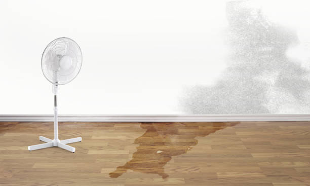 Best Flood damage cleanup  in Sparta, MO