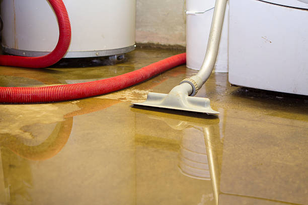 Best 24-hour water damage restoration  in Sparta, MO