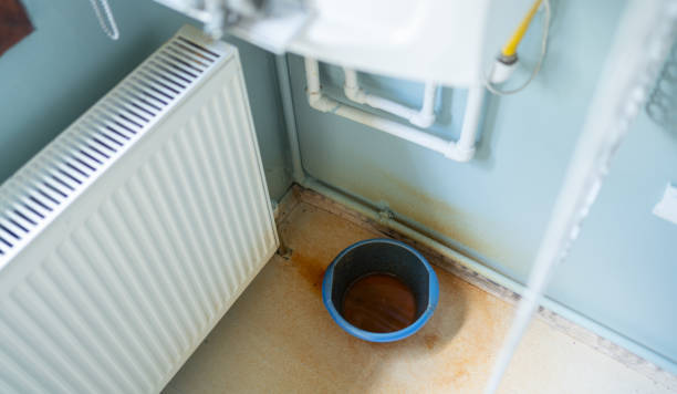 Best Fire Damage Restoration  in Sparta, MO