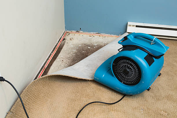 Best 24/7 water damage repair  in Sparta, MO